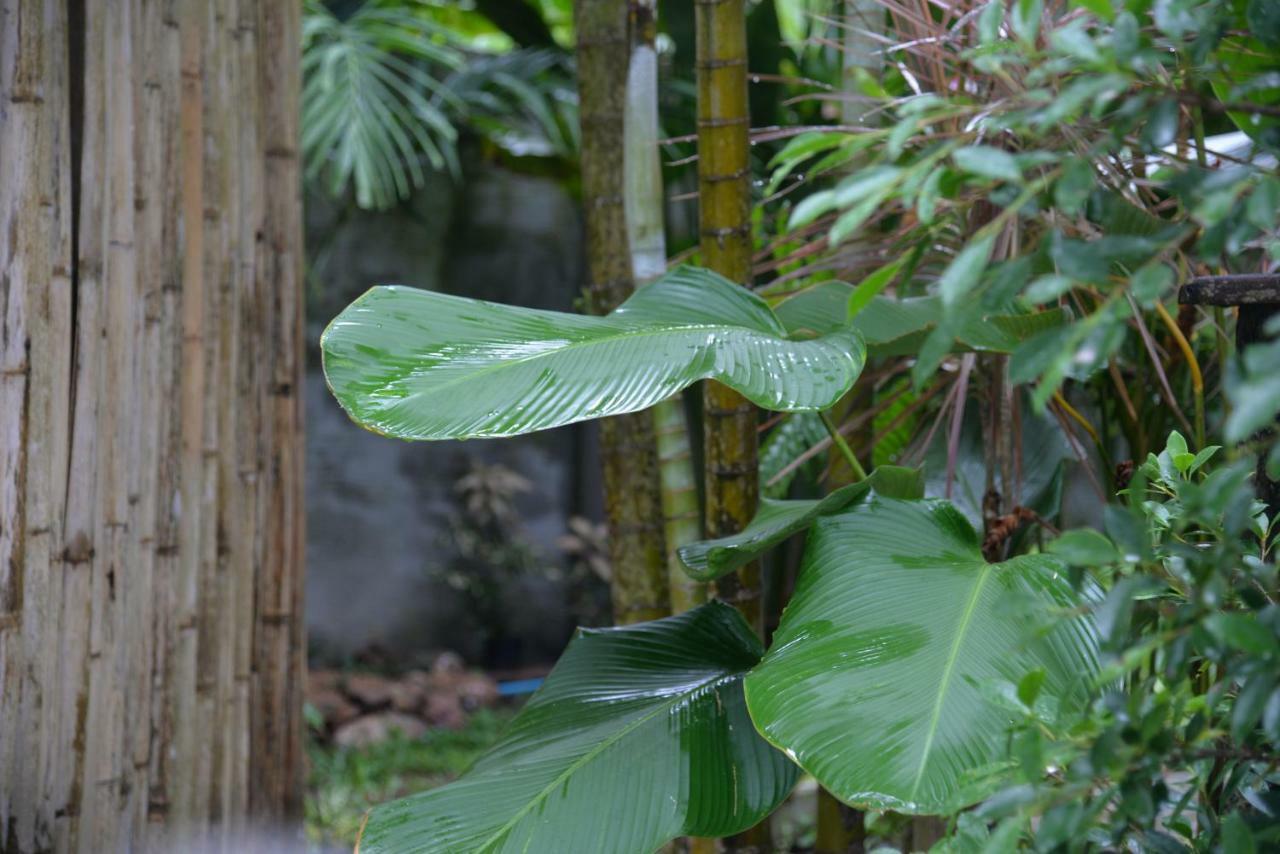 Tukonnee Villas Koh Yao Noi Eksteriør bilde